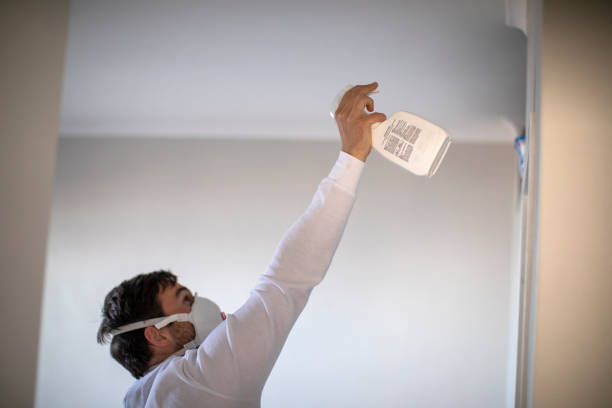Best Toxic Mold Removal  in Varnell, GA